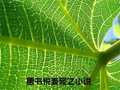 唐书悦姜砚之小说免费下载（唐书悦姜砚之完整全集已完结大结局小说）_唐书悦姜砚之免费阅读