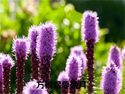 方景煜季晚月（方景煜季晚月）全文免费阅读无弹窗大结局_方景煜季晚月全文阅读最新章节列表_笔趣阁（方景煜季晚月）