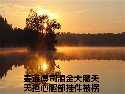 金大腿天天担心腿部挂件被拐跑了无广告免费阅读-小说姜涟傅司源最后结局如何