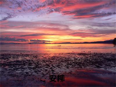 安柳小说（修真重生在六零）全文在线阅读免费大结局_安柳小说最新章节列表