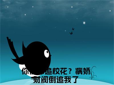 你们都追校花？病娇财阀倒追我了在线阅读（陈洛）全文无弹窗大结局_陈洛全文在线阅读无弹窗