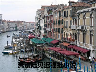 高赞小说萧漫陆见迟（萧漫陆见迟小说免费阅读）完结阅读_萧漫陆见迟全文免费阅读最新章节大结局