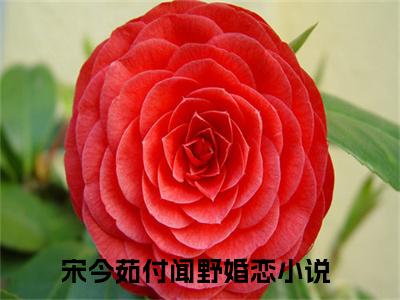宋今茹付闻野小说（宋今茹付闻野）免费阅读全文无弹窗大结局_宋今茹付闻野免费阅读无弹窗小说_小说笔趣阁