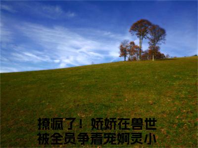 撩疯了！娇娇在兽世被全员争着宠婀灵免费小说 撩疯了！娇娇在兽世被全员争着宠婀灵在线小说免费阅读目录