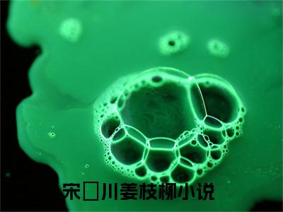 宋璟川姜枝柳小说在哪里可以看-新上热文宋璟川姜枝柳(宋璟川姜枝柳)小说全章节最新阅读