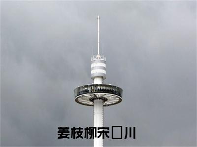姜枝柳宋璟川(姜枝柳宋璟川)全文免费阅读无弹窗大结局_姜枝柳宋璟川(姜枝柳宋璟川小说全文无弹窗)完整版最新阅读（姜枝柳宋璟川）