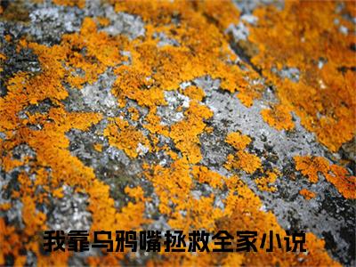林西西小说全文免费阅读_（林西西）我靠乌鸦嘴拯救全家小说最新章节列表笔趣阁