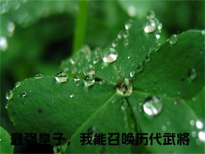（免费）+（全文）最强皇子，我能召唤历代武将（叶凡）免费阅读最新章节无弹窗叶凡完整版小说在线阅读