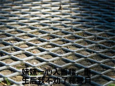 妹妹一心入青楼，重生后我不劝了林曼月无弹窗（妹妹一心入青楼，重生后我不劝了林曼月）全文免费阅读无弹窗大结局_(妹妹一心入青楼，重生后我不劝了林曼月)妹妹一心入青楼，重生后我不劝了林曼月最新章节列表_笔趣阁（妹妹一心入青楼，重生后我不劝了林曼月）