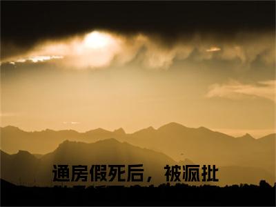 精选好书通房假死后，被疯批世子撬了棺材宋妙元无弹窗免费阅读-（通房假死后，被疯批世子撬了棺材宋妙元）完整版全文在线赏析