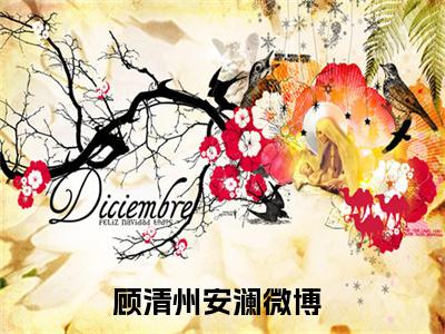 顾清州安澜完整章节阅读-顾清州安澜全文试读