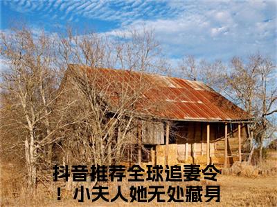 全球追妻令！小夫人她无处藏身啦（云栀意厉阈野）小说全文免费阅读正版无弹窗_（云栀意厉阈野）免费阅读无弹窗最新章节列表