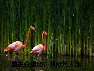 周黎晚沈南州抖音完结版阅读《重生会读心，我成万人迷》最新章节目录好书推荐_（周黎晚沈南州）