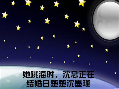 她跳海时，沈总正在结婚（白楚楚沈墨瑾小说）全文免费阅读无弹窗大结局_白楚楚沈墨瑾小说最新章节列表