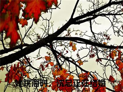 她跳海时，沈总正在结婚小说全文（白楚楚沈墨瑾）全文免费阅读无弹窗大结局_她跳海时，沈总正在结婚小说全文最新章节列表