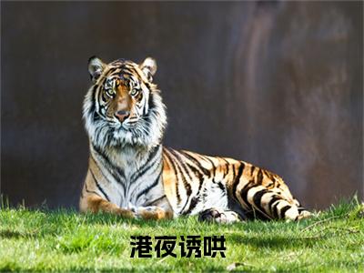 港夜诱哄（池夏听盛淮淞）小说免费在线阅读_港夜诱哄全本免费小说阅读（池夏听盛淮淞）