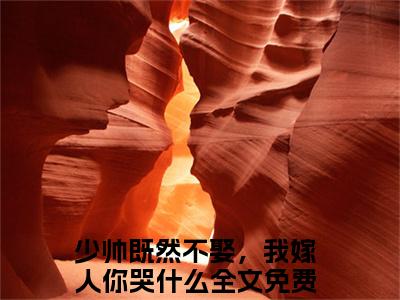 番外+免费小说《姜止楚伯承》全文免费阅读无弹窗-少帅既然不娶，我嫁人你哭什么小说全文在线赏析_笔趣阁