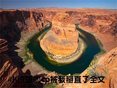 磕的cp被我掰直了（阮棠）全文免费阅读无弹窗大结局_磕的cp被我掰直了（阮棠）全文阅读_笔趣阁