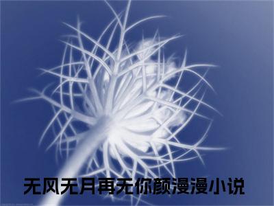 （无风无月再无你颜漫漫）全文免费阅读无弹窗大结局_（无风无月再无你颜漫漫）章节列表_笔趣阁