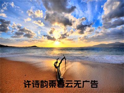 许诗韵秦暮云(许诗韵秦暮云)全文在线许诗韵秦暮云读无弹窗大结局_许诗韵秦暮云在线读无弹窗最新章节列表_笔趣阁