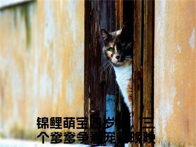 锦鲤萌宝四岁半，三个爹爹争着宠姜晚晚（锦鲤萌宝四岁半，三个爹爹争着宠姜晚晚）全文免费阅读无弹窗大结局_锦鲤萌宝四岁半，三个爹爹争着宠姜晚晚最新章节列表_笔趣阁（锦鲤萌宝四岁半，三个爹爹争着宠姜晚晚）