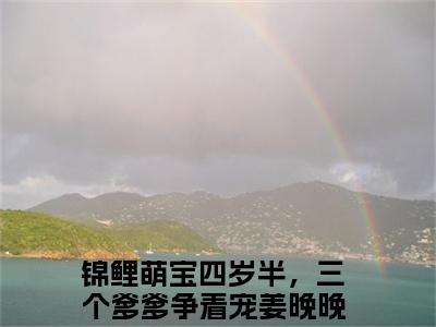 高赞小说（锦鲤萌宝四岁半，三个爹爹争着宠姜晚晚小说免费阅读）完结阅读，锦鲤萌宝四岁半，三个爹爹争着宠姜晚晚在线阅读