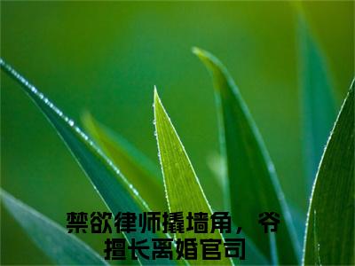 姜满季琛（禁欲律师撬墙角，爷擅长离婚官司）全文免费阅读无弹窗大结局_姜满季琛完整版在线阅读章节列表_笔趣阁