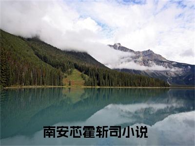 南安芯霍斩司小说免费阅读无弹窗大结局，南安芯霍斩司最新章节列表