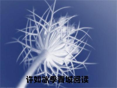 （许如冰季青城）全文免费阅读无弹窗大结局_许如冰季青城免费小说最新章节列表笔趣阁（许如冰季青城）