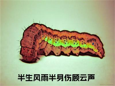 半生风雨半身伤顾云声全文免费阅读（半生风雨半身伤顾云声）全文无删减版在线阅读_半生风雨半身伤顾云声全文免费阅读最新章节列表_笔趣阁