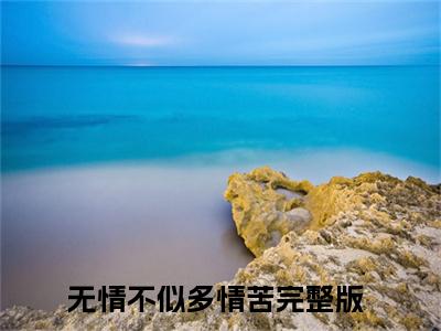 小说沈初棠陆辞安全文免费阅读无弹窗大结局-无情不似多情苦沈初棠陆辞安免费阅读大结局