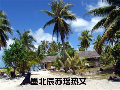 墨北辰苏瑶小说(墨北辰苏瑶)全文免费阅读无弹窗大结局_墨北辰苏瑶小说免费阅读无弹窗最新章节列表_笔趣阁