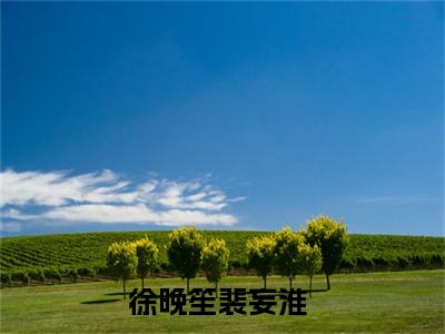 徐晚笙裴妄淮小说（徐晚笙裴妄淮）全文免费阅读无弹窗大结局_徐晚笙裴妄淮最新章节列表_笔趣阁（徐晚笙裴妄淮）