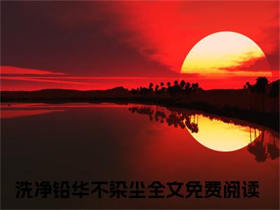 洗净铅华不染尘全集免费阅读无弹窗_沈箐箐许怀安完结小说榜单阅读（沈箐箐许怀安小说）