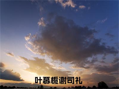 叶慕栀谢司礼（留不住雁阵南渡）全文免费阅读大结局_留不住雁阵南渡无弹窗最新章节列表