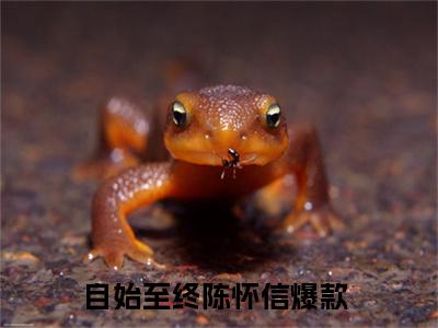 自始至终陈怀信（自始至终陈怀信）全文小说-自始至终陈怀信小说最新章节免费阅读