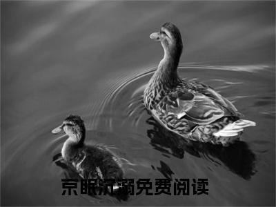 京眠沉溺（姜眠靳珏京）小说精彩免费内容_京眠沉溺最新章节全文阅读（姜眠靳珏京）