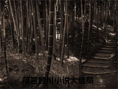 简言顾川精彩章节小说-简言顾川最新更新阅读