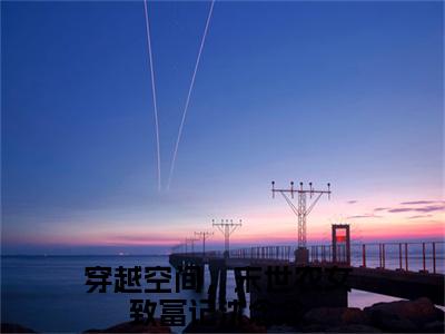 穿越空间，末世农女致富记沈念念抖音高赞小说 穿越空间，末世农女致富记沈念念全文无弹窗阅读