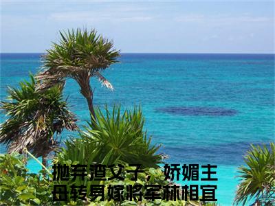 抛弃渣父子，娇媚主母转身嫁将军林相宜（抛弃渣父子，娇媚主母转身嫁将军林相宜）高收藏小说在线阅读-抛弃渣父子，娇媚主母转身嫁将军林相宜阅读结局
