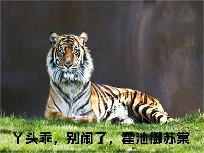 丫头乖，别闹了，霍池御苏棠抖音新书热门热荐- 丫头乖，别闹了，霍池御苏棠小说在线观看