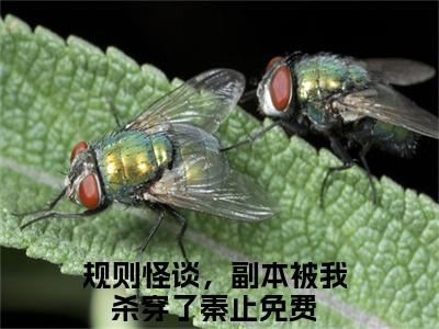 小说(规则怪谈，副本被我杀穿了秦止)全文免费阅读_(规则怪谈，副本被我杀穿了秦止)小说全文免费阅读
