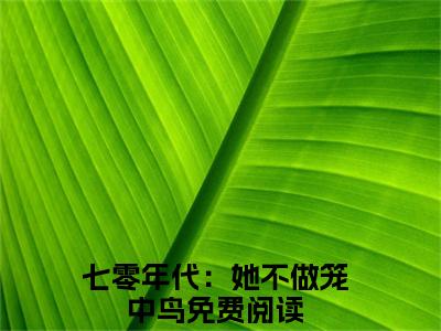 七零年代：她不做笼中鸟小说全文（霍祁姜煜）全文免费阅读无弹窗大结局-（霍祁姜煜）无弹窗免费阅读大结局