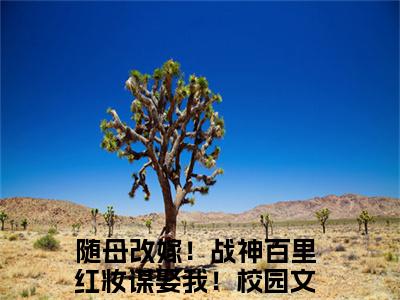 随母改嫁！战神百里红妆谋娶我！秦北昱沈如意快手热文整理-随母改嫁！战神百里红妆谋娶我！小说秦北昱沈如意今日更新章节