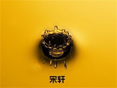 宋轩小说全文-极品小郎中：开局捡个美娇妻精选小说宋轩大结局阅读