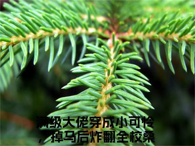 满级大佬穿成小可怜，掉马后炸翻全校桑辞新上精彩热文小说全文-满级大佬穿成小可怜，掉马后炸翻全校桑辞完整版全文在线赏析