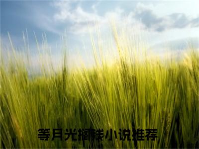 等月光搁浅小说在线阅读-主角叫江宴深周念的小说（等月光搁浅）完整版免费阅读全文