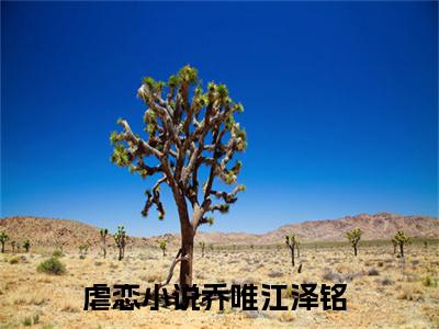 乔唯江泽铭（乔唯江泽铭无弹窗）全文免费阅读无弹窗大结局_乔唯江泽铭最新章节列表_笔趣阁（乔唯江泽铭无弹窗）