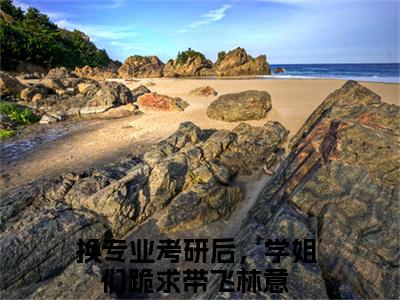 小说完整版阅读-换专业考研后，学姐们跪求带飞林意美文欣赏