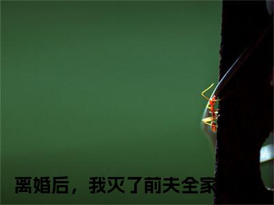 离婚后，我灭了前夫全家（林韵瑶洛逸宸）小说大结局免费阅读（林韵瑶洛逸宸）-完结版离婚后，我灭了前夫全家小说推荐